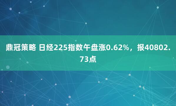 鼎冠策略 日经225指数午盘涨0.62%，报40802.73点