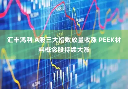 汇丰鸿利 A股三大指数放量收涨 PEEK材料概念股持续大涨