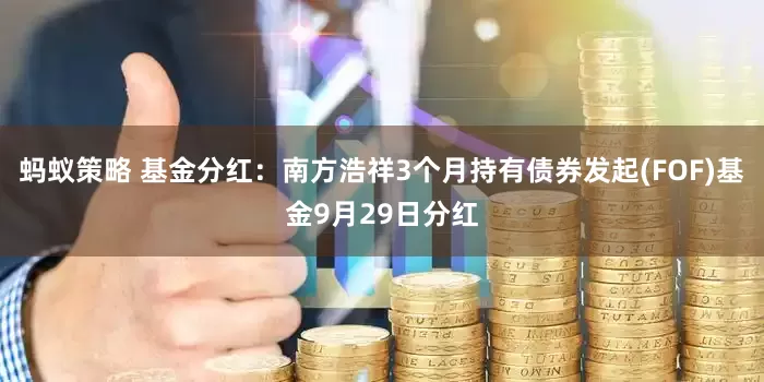 蚂蚁策略 基金分红：南方浩祥3个月持有债券发起(FOF)基金9月29日分红